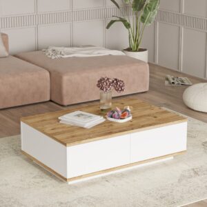 Aven Orta Sehpa 60x90cm 2 Kapaklı Çam-beyaz AVE14-AW